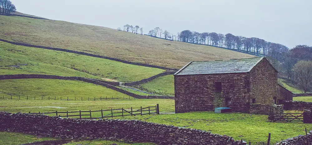 Lettings done properly 